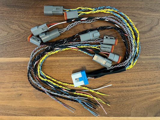 Faisceau de dérivation d'ampli de coffre OEM